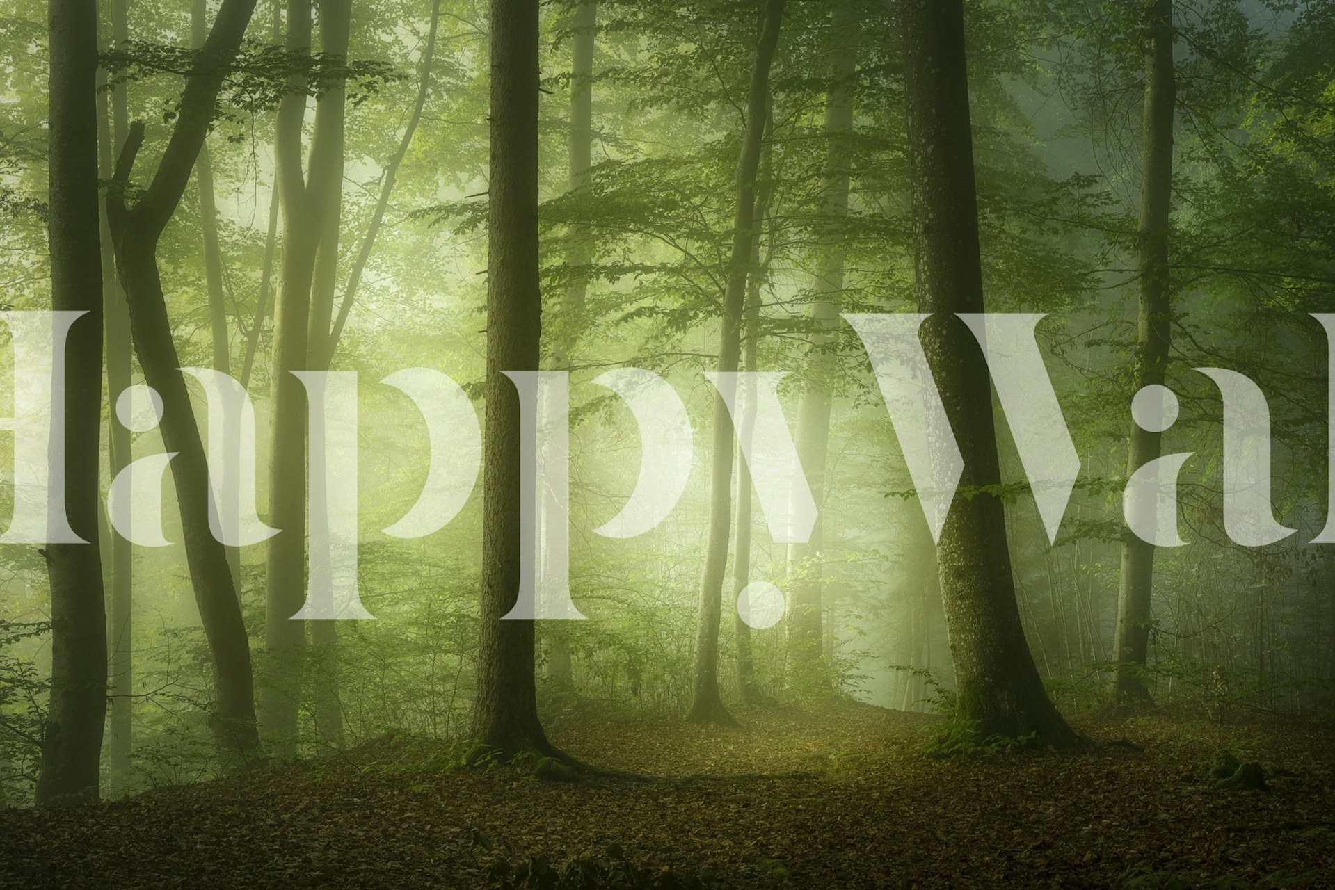 Mysterious Spring Morning tapetti huoneessa