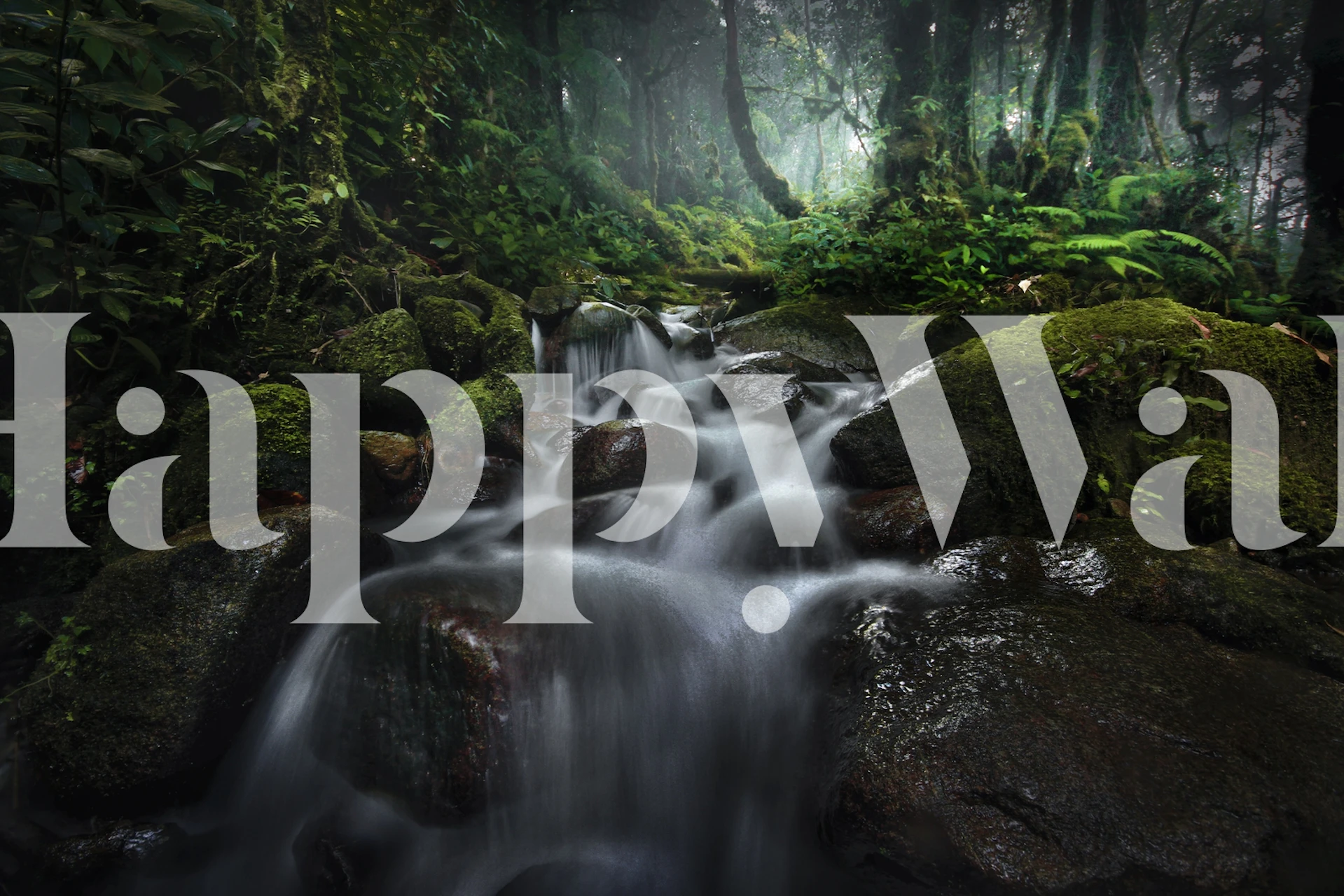 Enchanting Borneo Rainforest wall mural with lush greenery and a tranquil stream