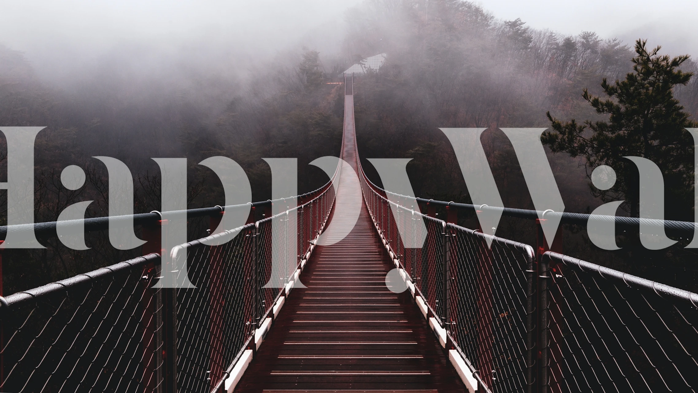 Suspended bridge surrounded by fog and trees wallpaper