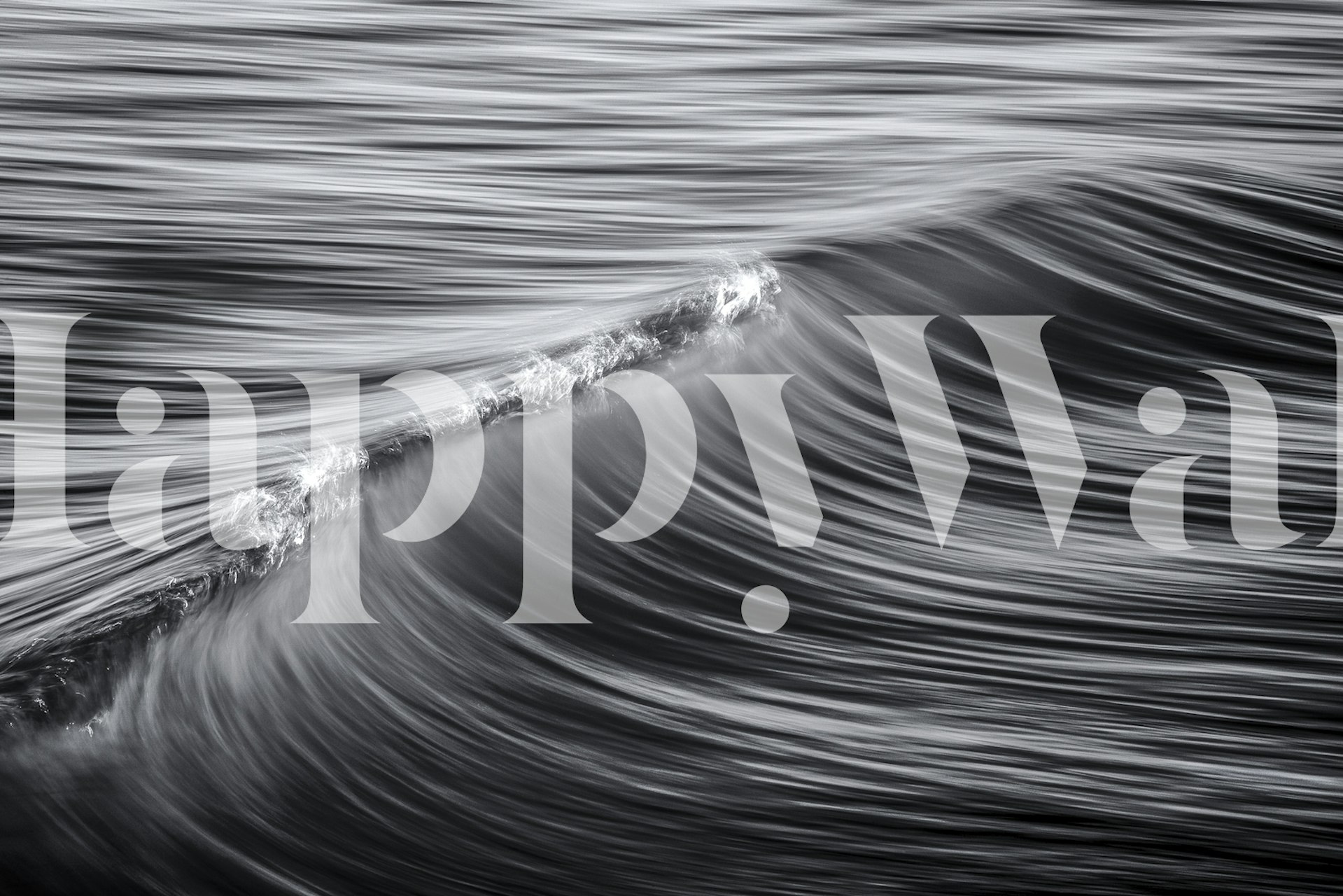Monochrome rippling water wall mural