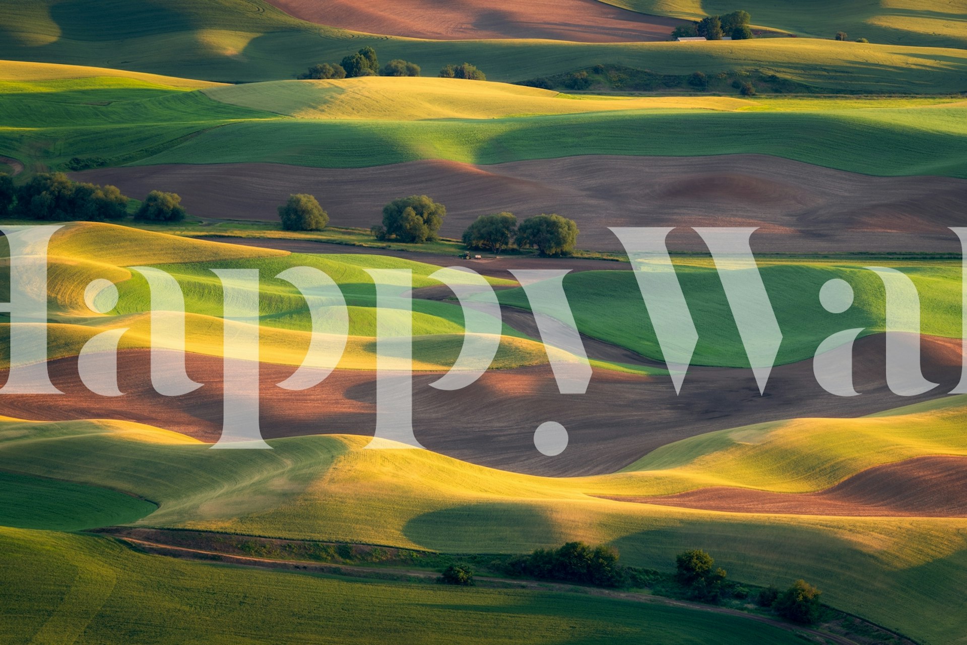 Colorful rolling hills with green and brown patches wallpaper