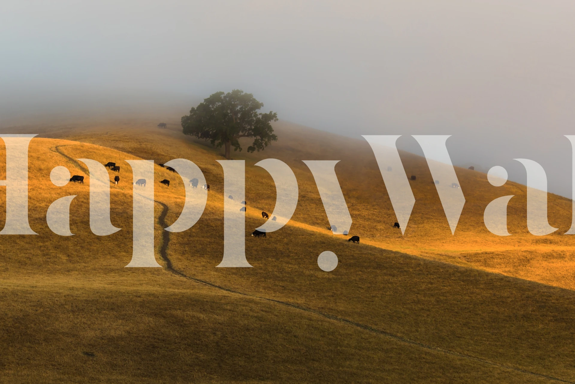 Wallpaper depicting rolling hills and a tree