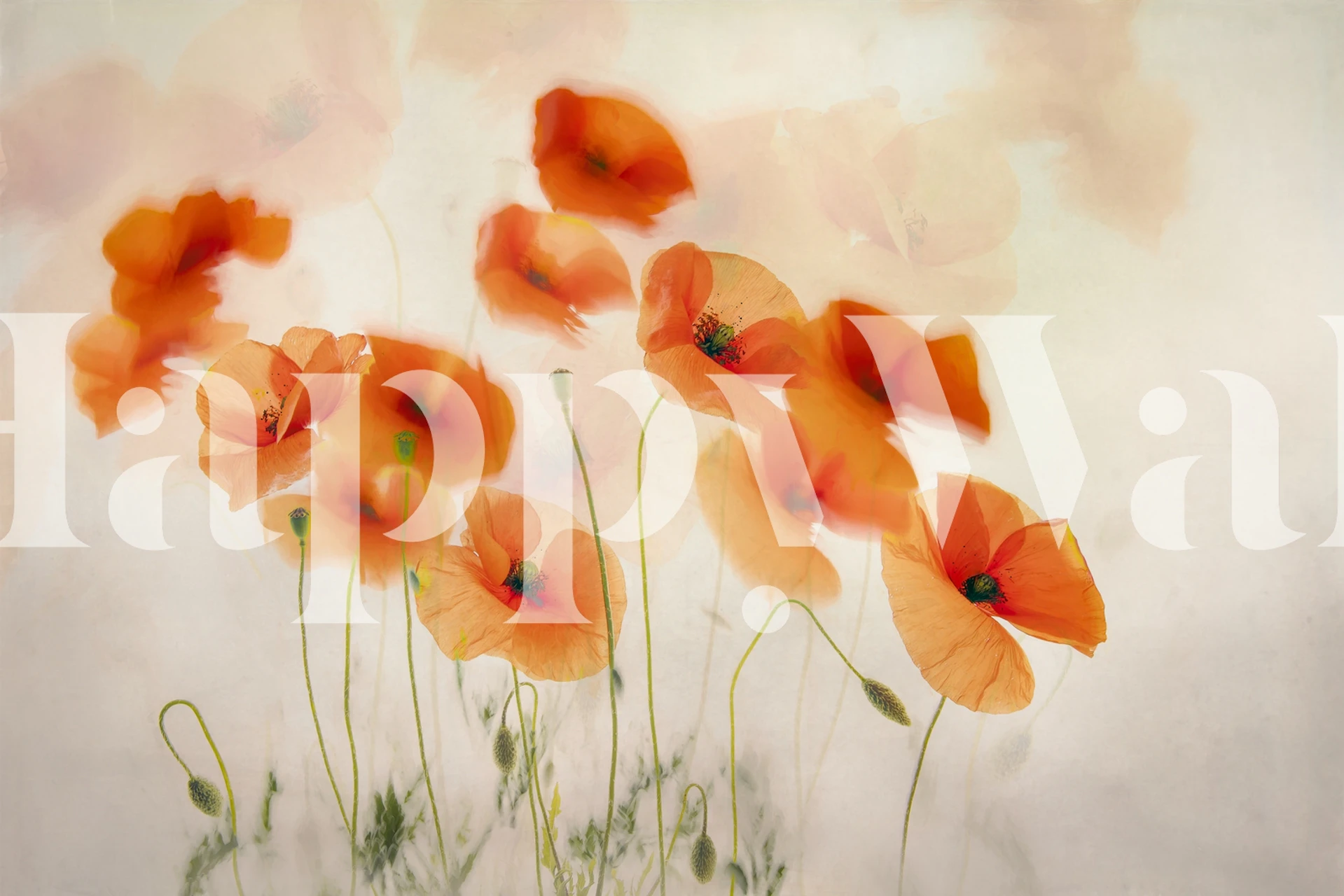 Diseño de papel tapiz vibrante en una habitación