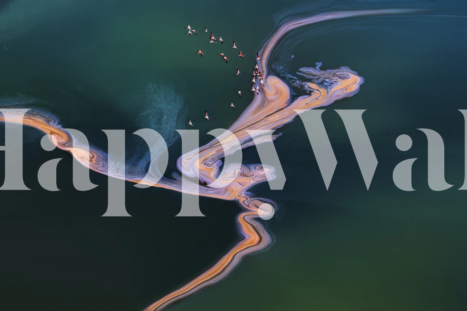 Fotomural vista aérea con intrincados patrones de agua y tierra