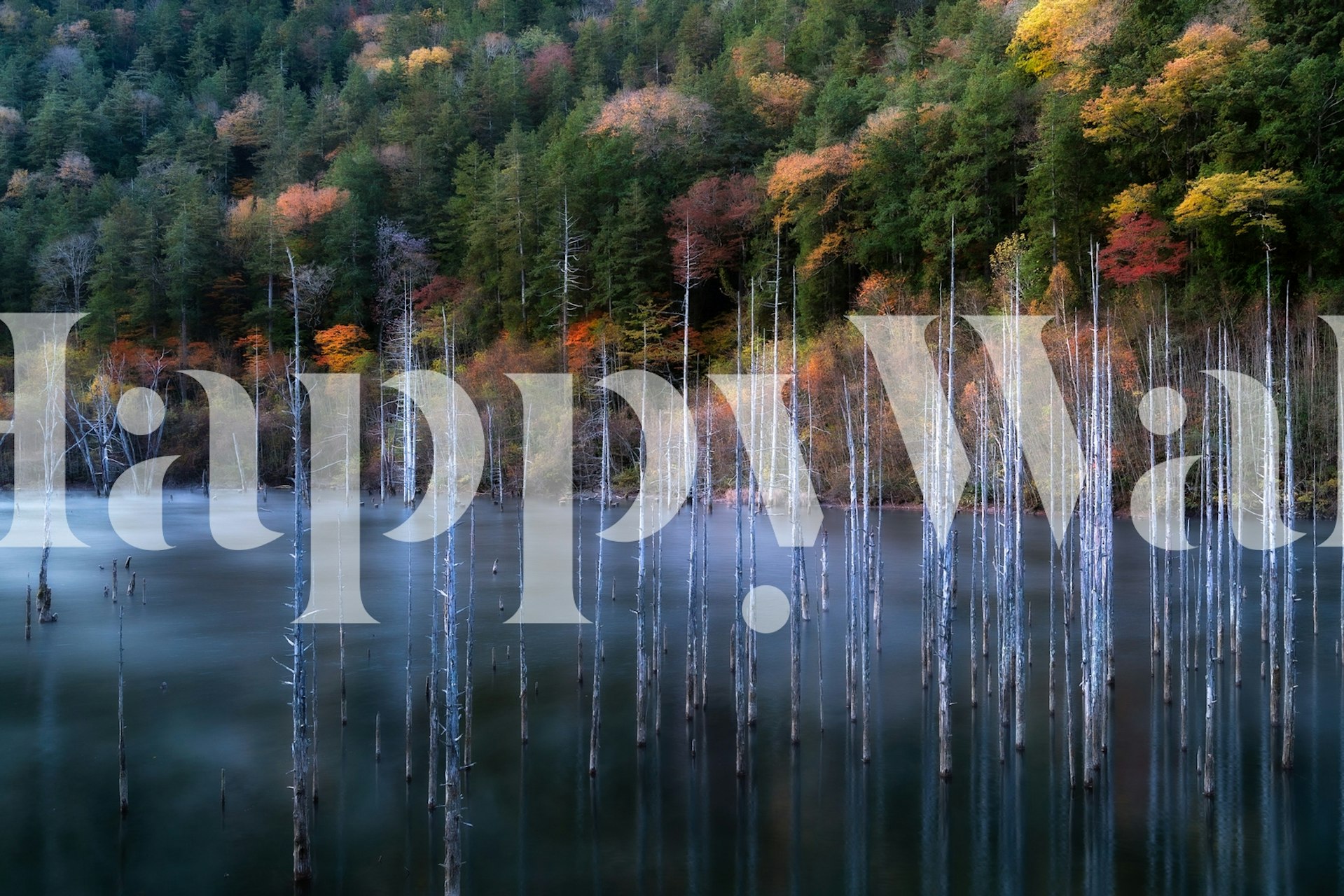 Autumn lake landscape with tall trees and colorful foliage wallpaper