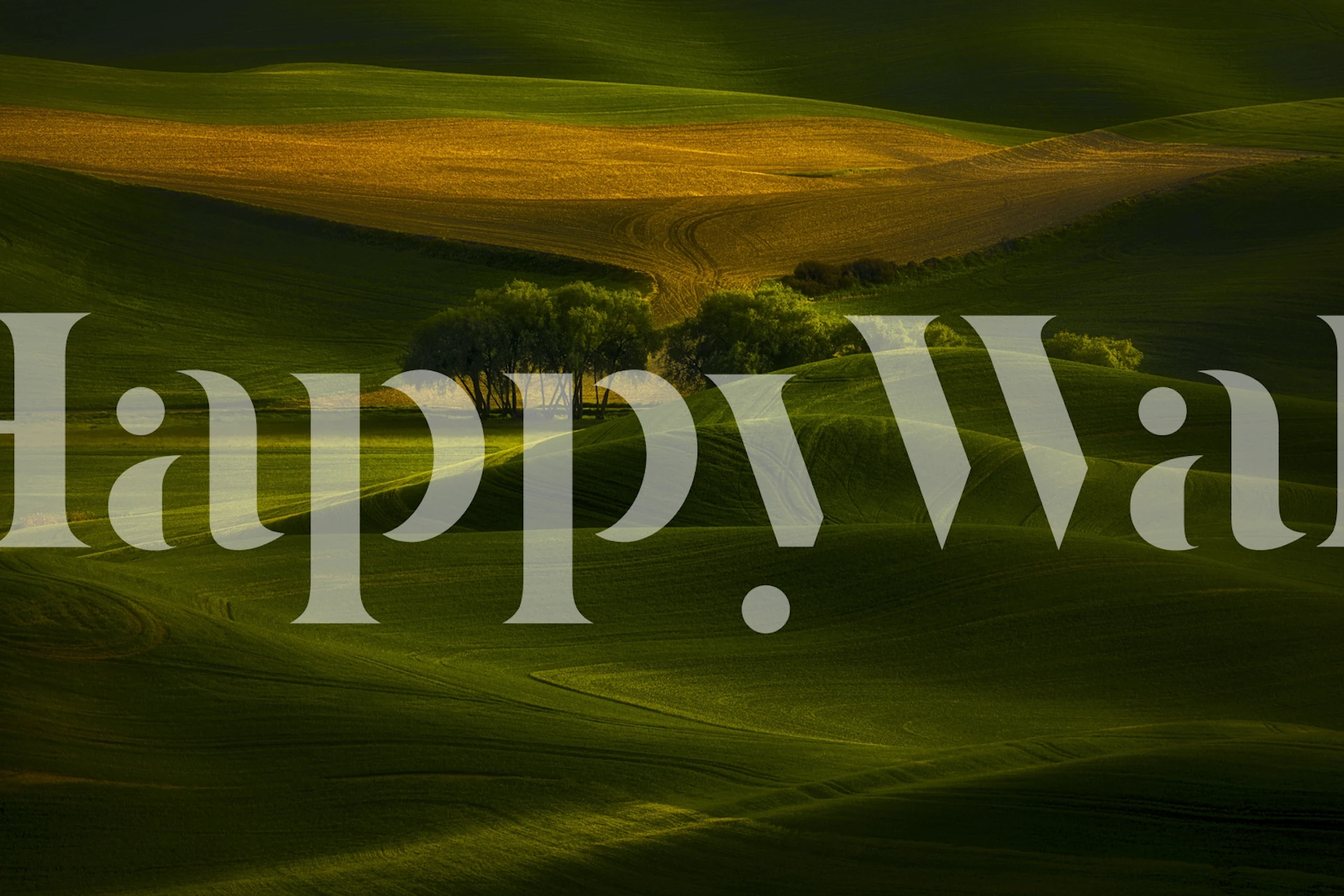 Tree in the field wallpaper in a room