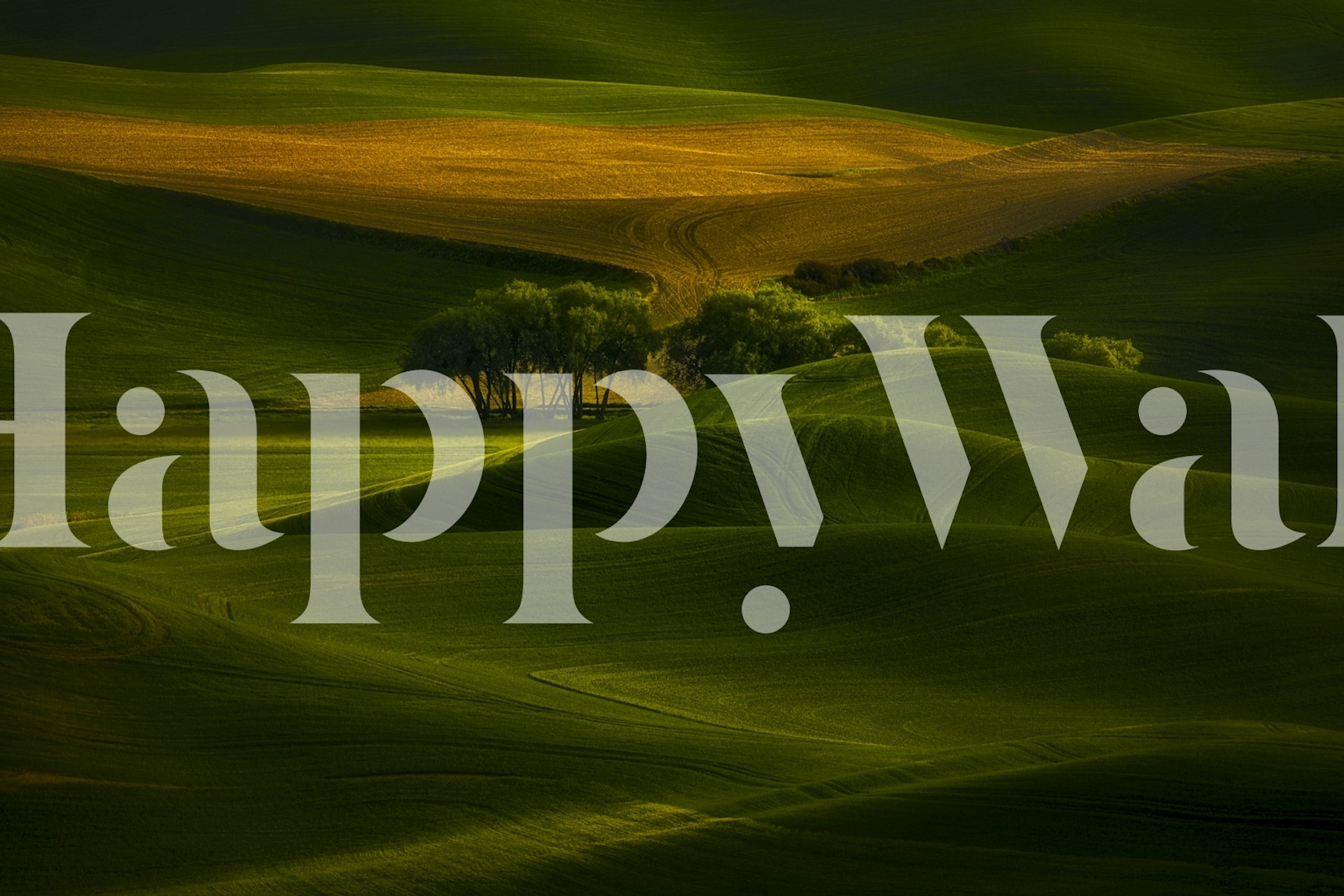 Tree in the field wallpaper in a room