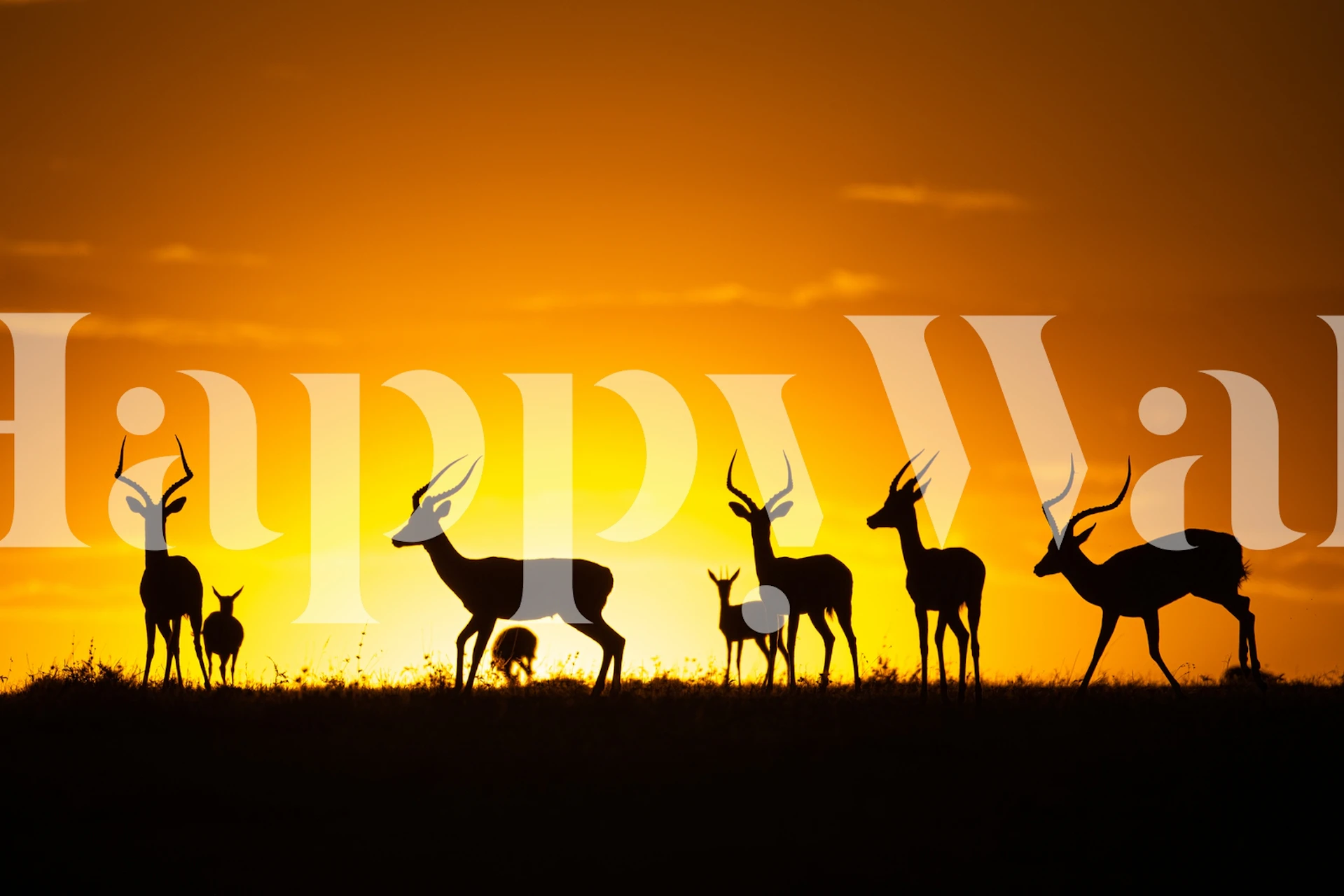 Fotomural ciervo silueta contra una puesta de sol