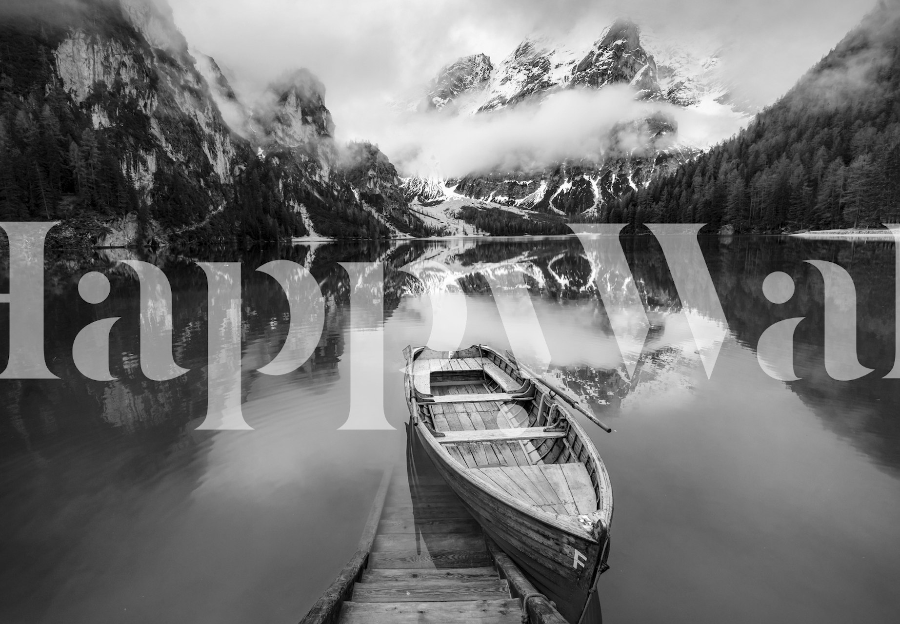 Black and white wallpaper design