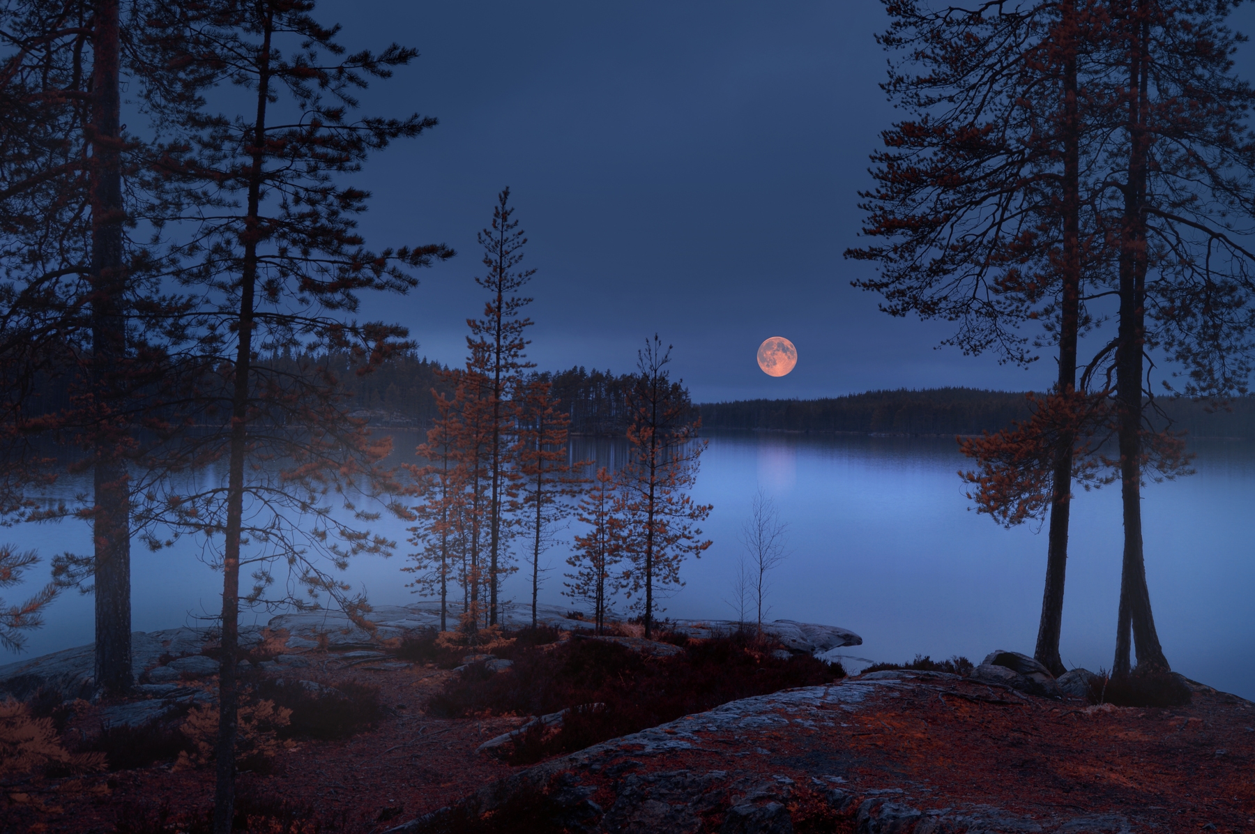 red-moon-wallpaper-happywall