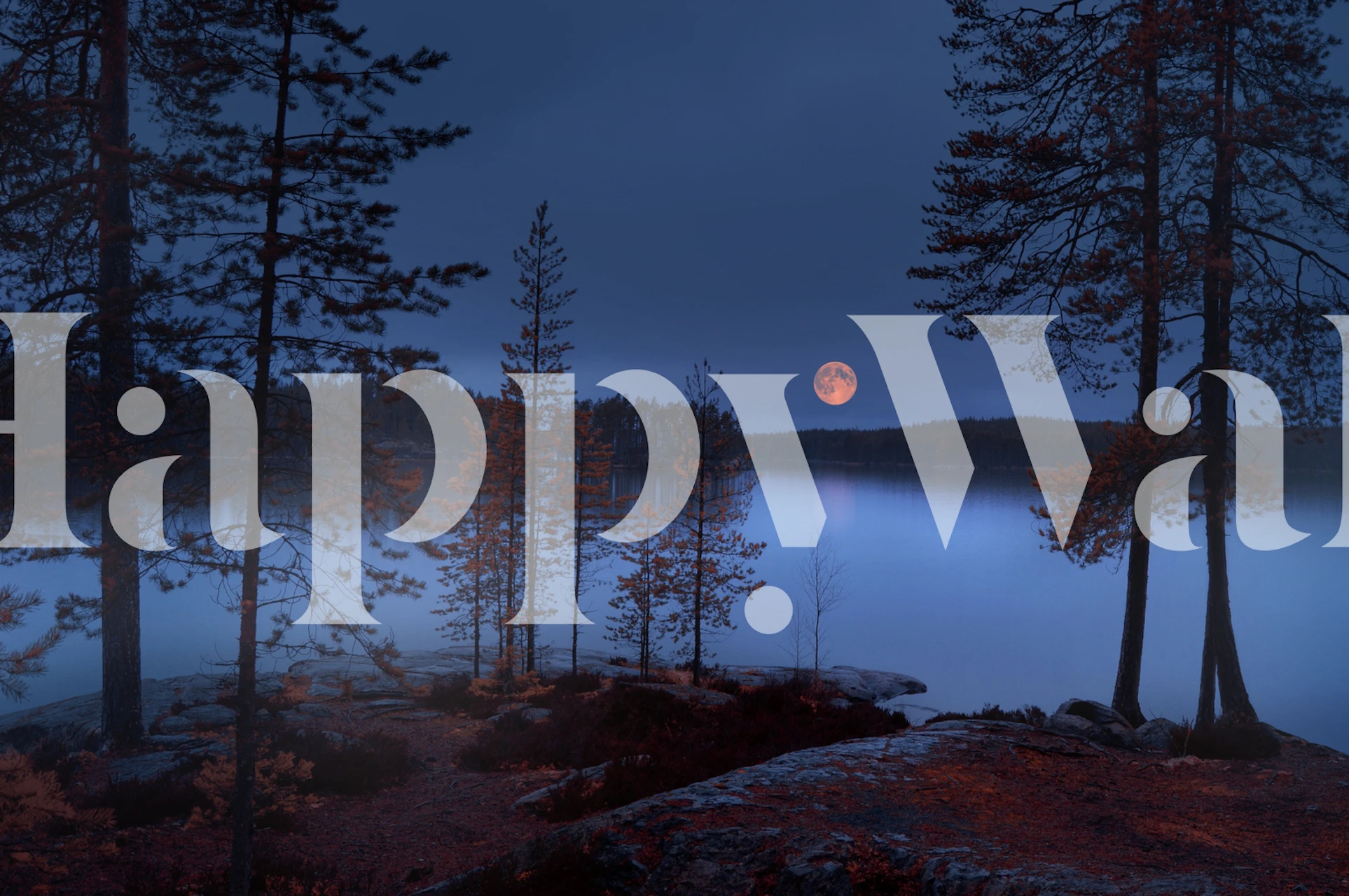 Moonlit night landscape with pine trees and lake wallpaper