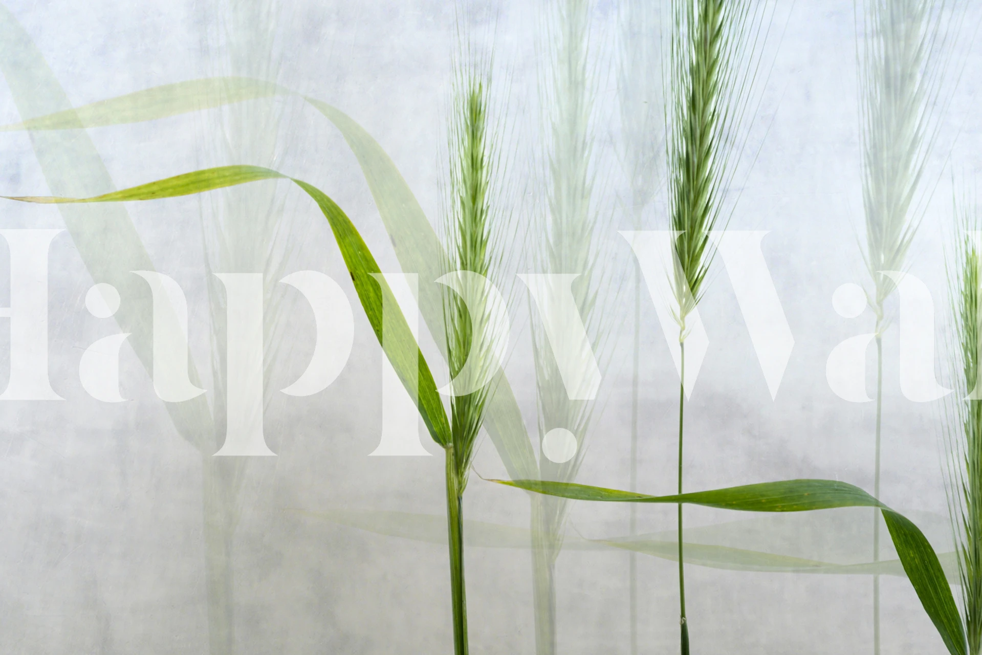 Wavy green wallpaper in a room setting