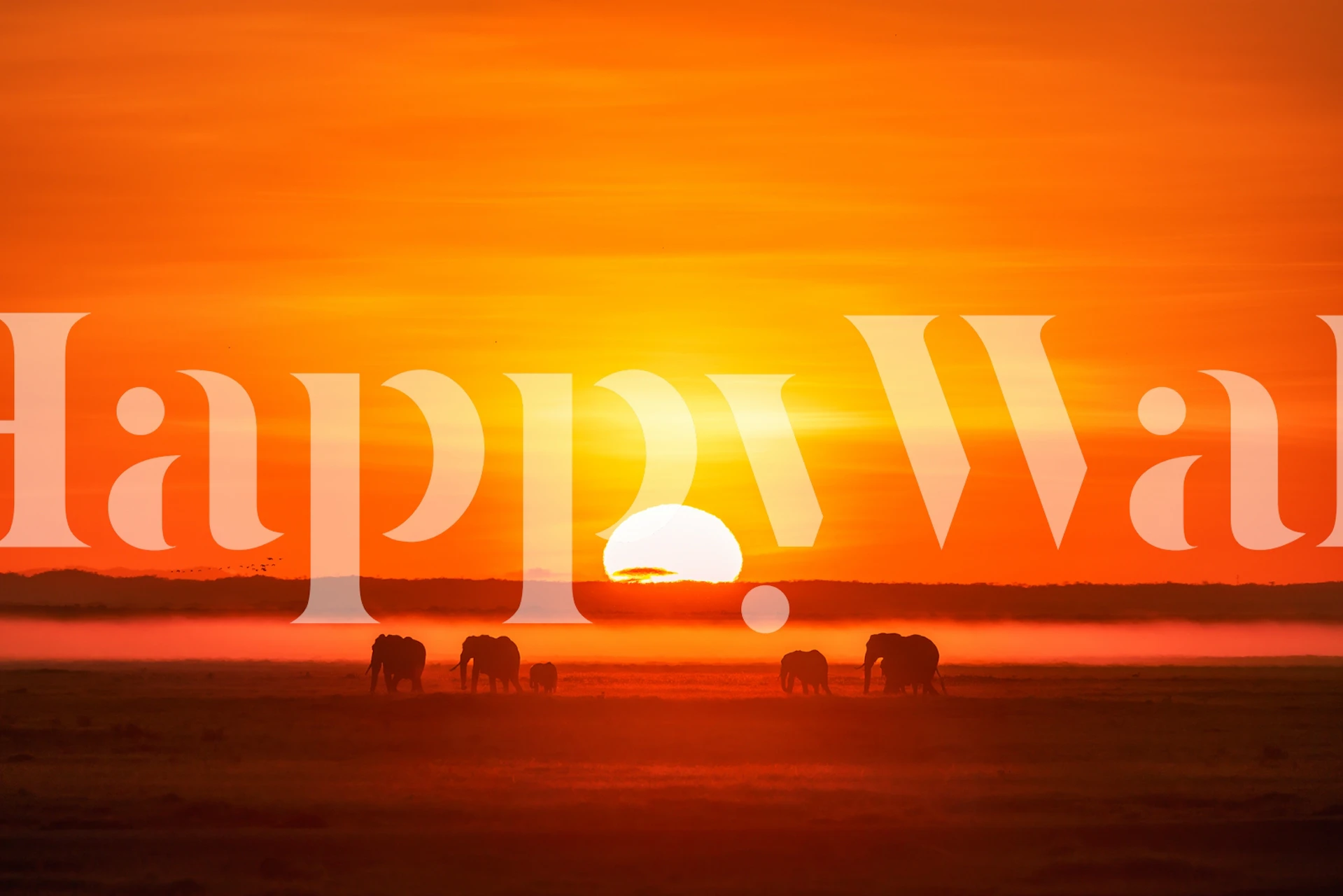 Silhouettes of elephants against vibrant orange sunset wallpaper