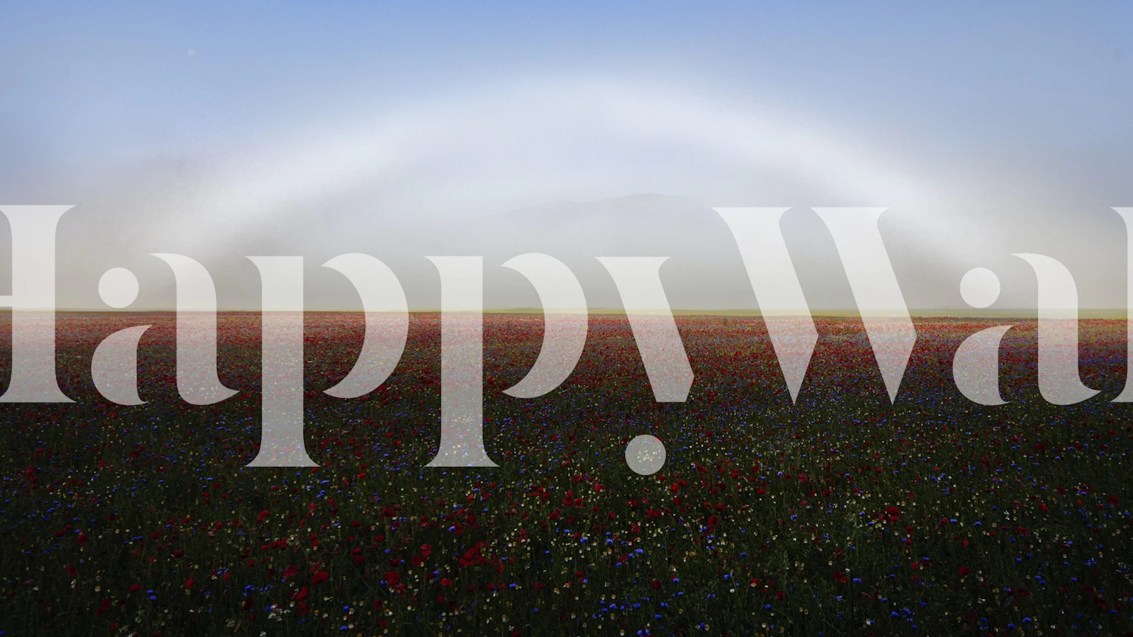 Fogbow wallpaper in a room