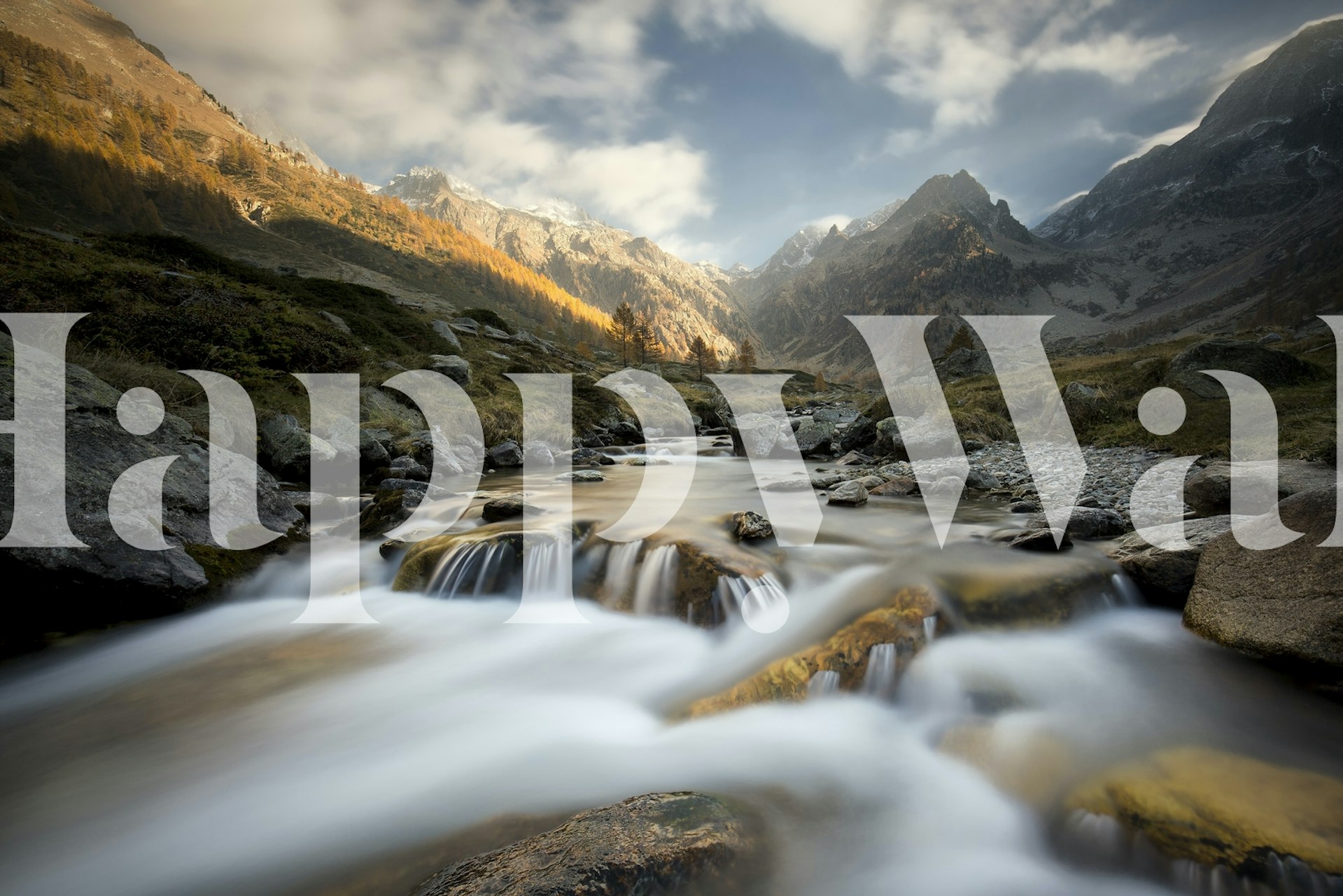 Mountain stream flowing through autumn forest landscape wallpaper