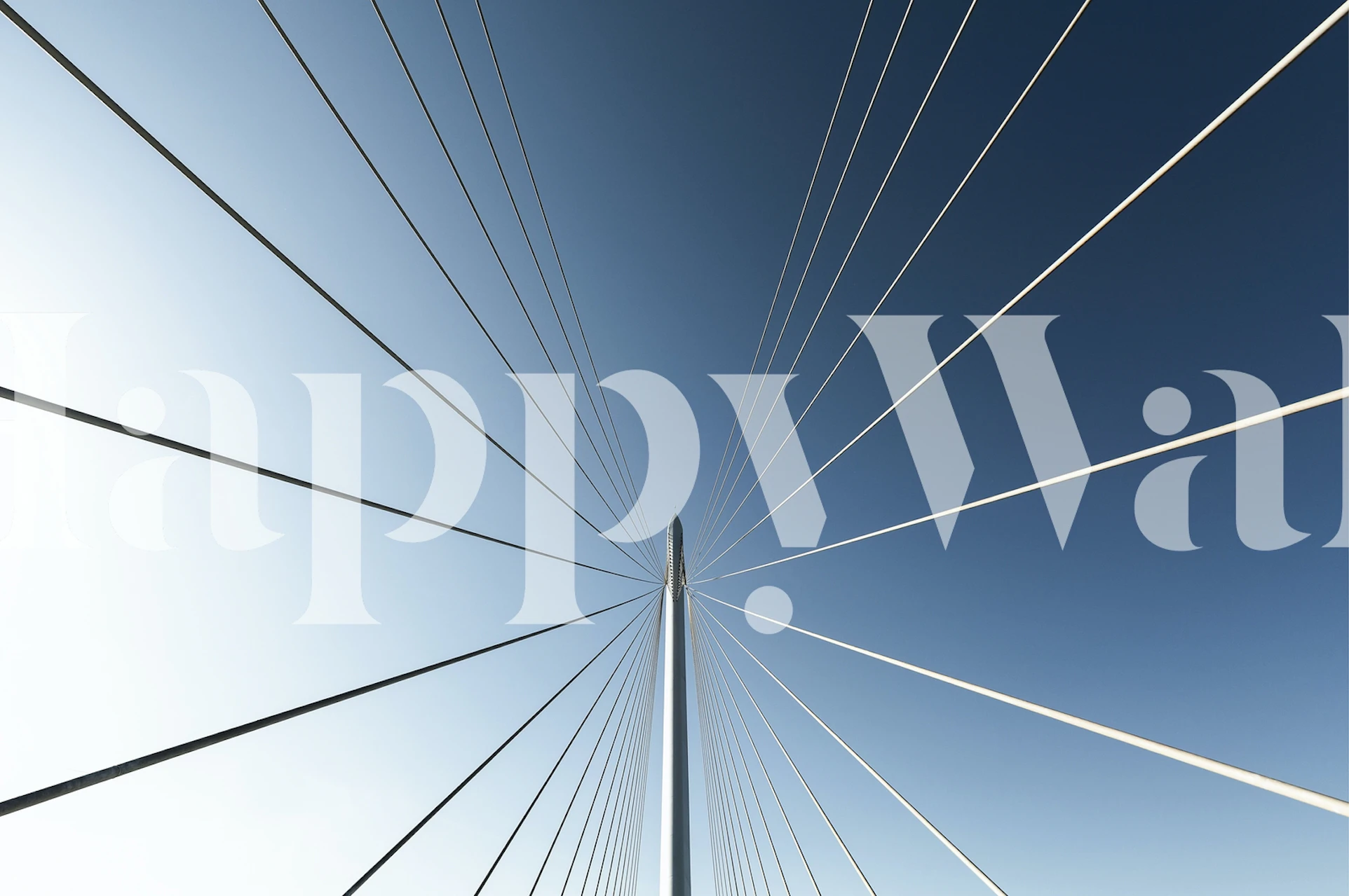 Tapeta Calatrava Bridge v místnosti