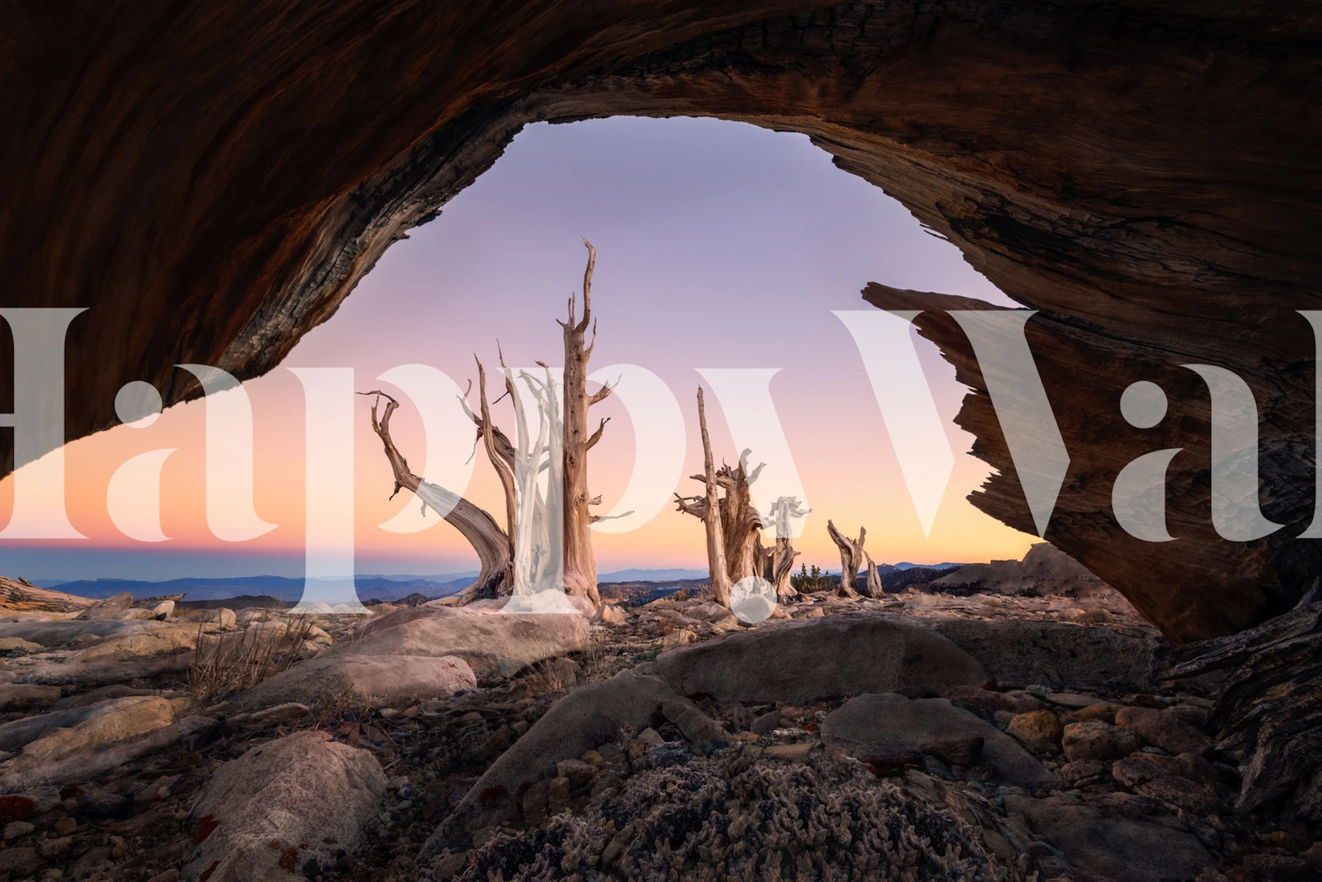 Sunset Out of Window in een gezellige kamer