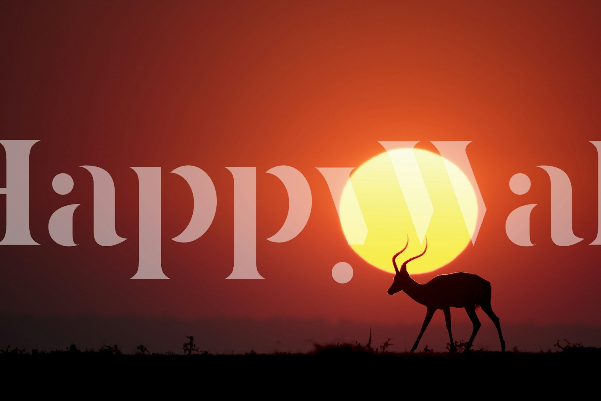 Silhouette of antelope against a bright orange sunset wallpaper