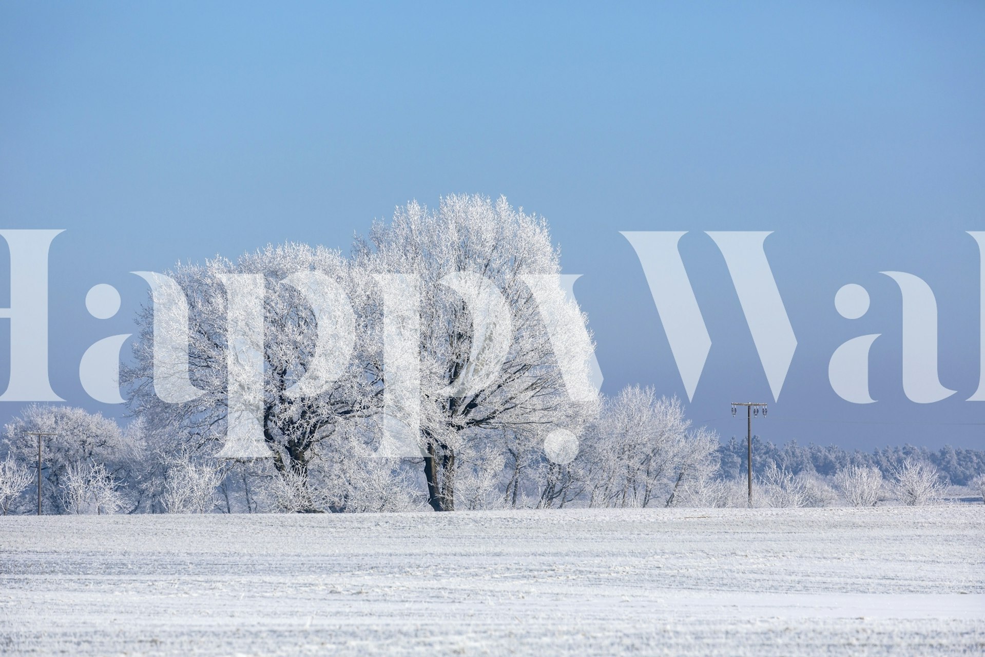 snow-covered trees in a Nordic winter landscape wall mural