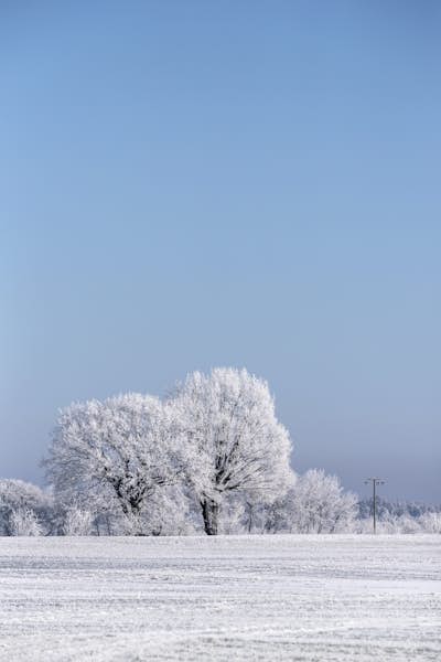 Τοιχογραφία