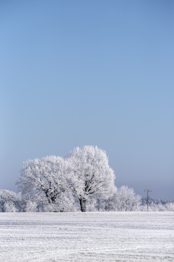 Nordic Winter Landscapes
