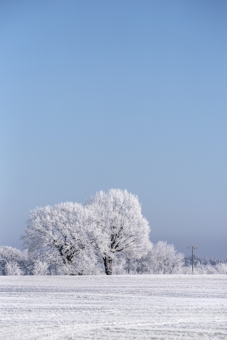 Nordic Winter Landscapes Wallpaper - Happywall