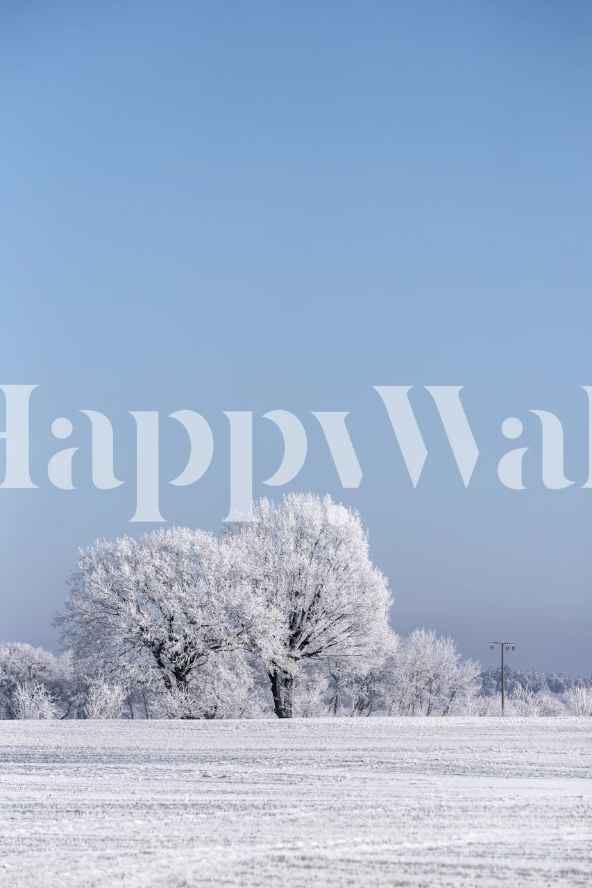 Nordic Winter Landscapes tapet i et rom