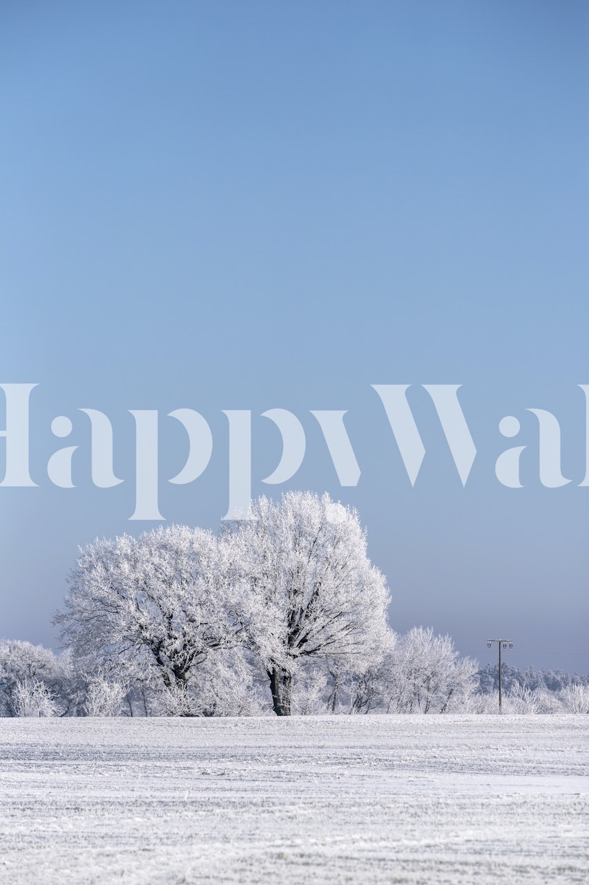 Papel de parede Nordic Winter Landscapes em um quarto