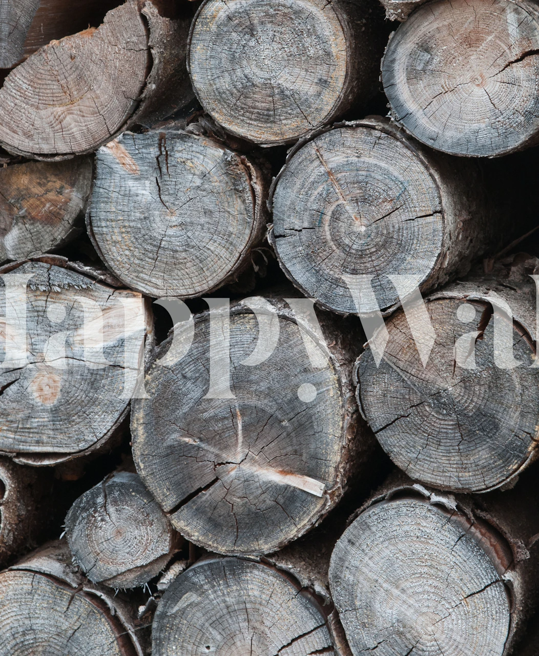 Rustic wood wallpaper in a room