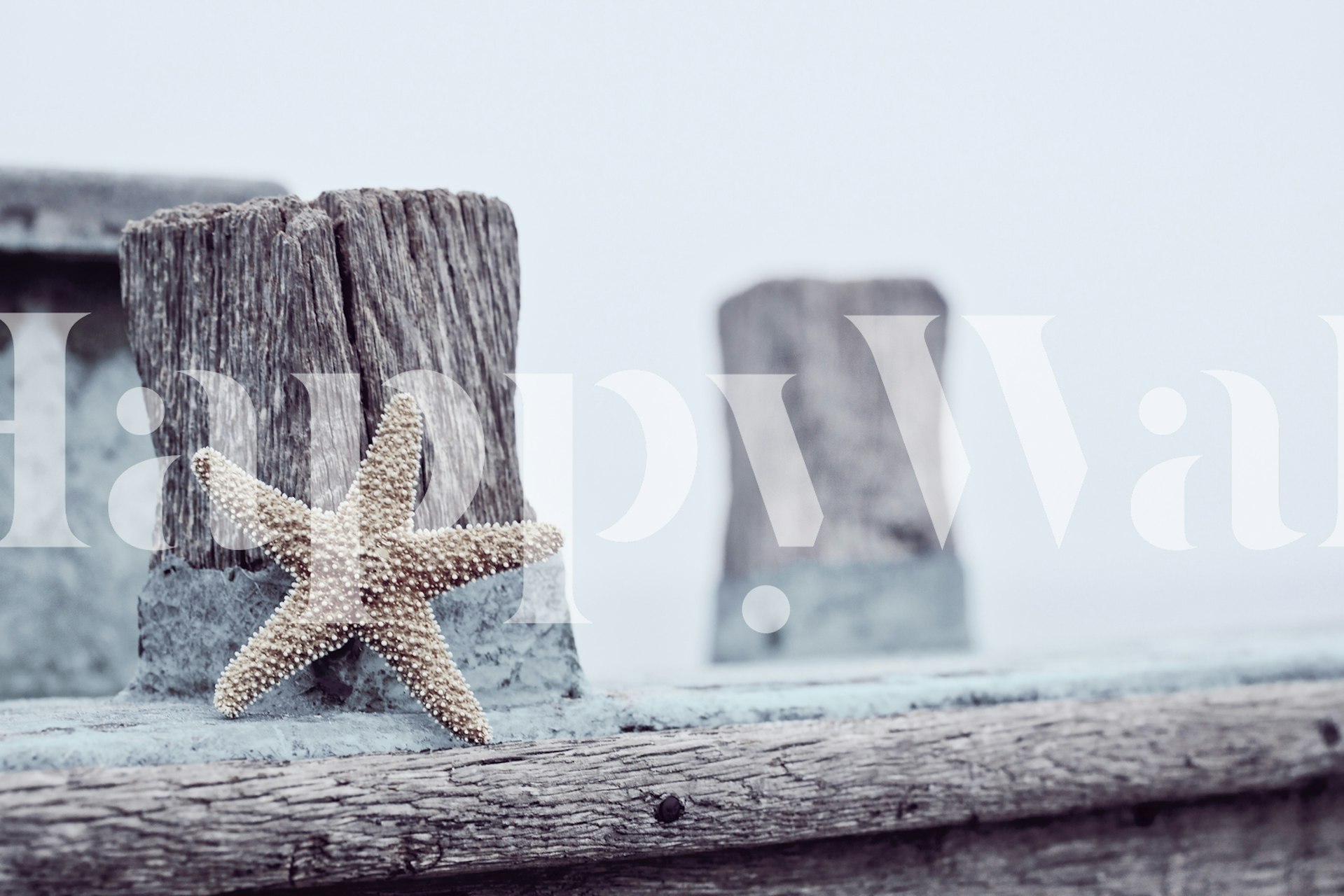 Tapeta Rustic Marine Starfish v nastavení místnosti