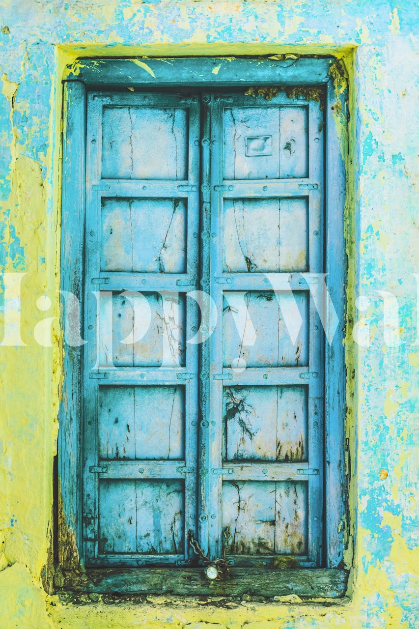 Doors of Rajasthan V wallpaper in a room