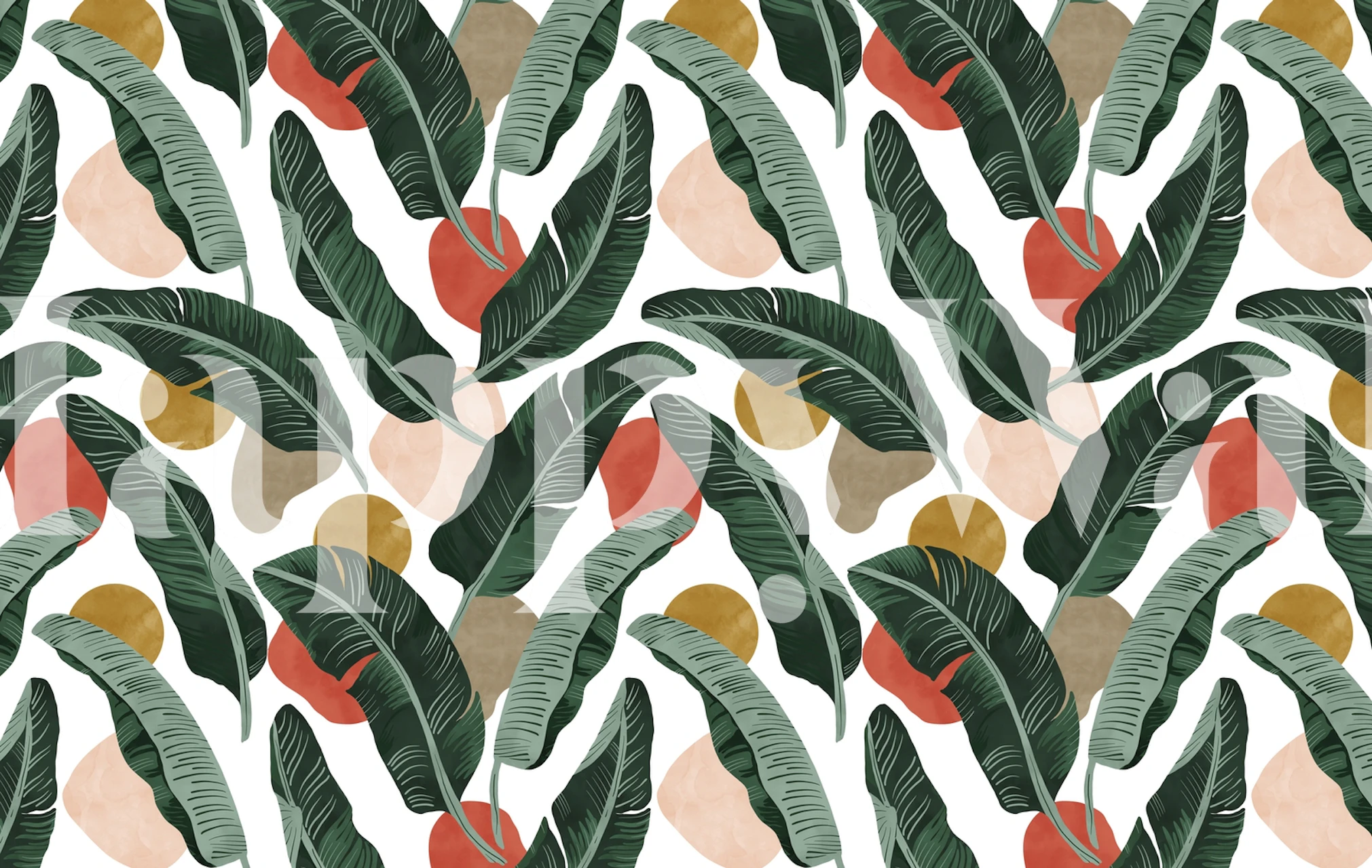 Tropical green banana leaves on white background wallpaper