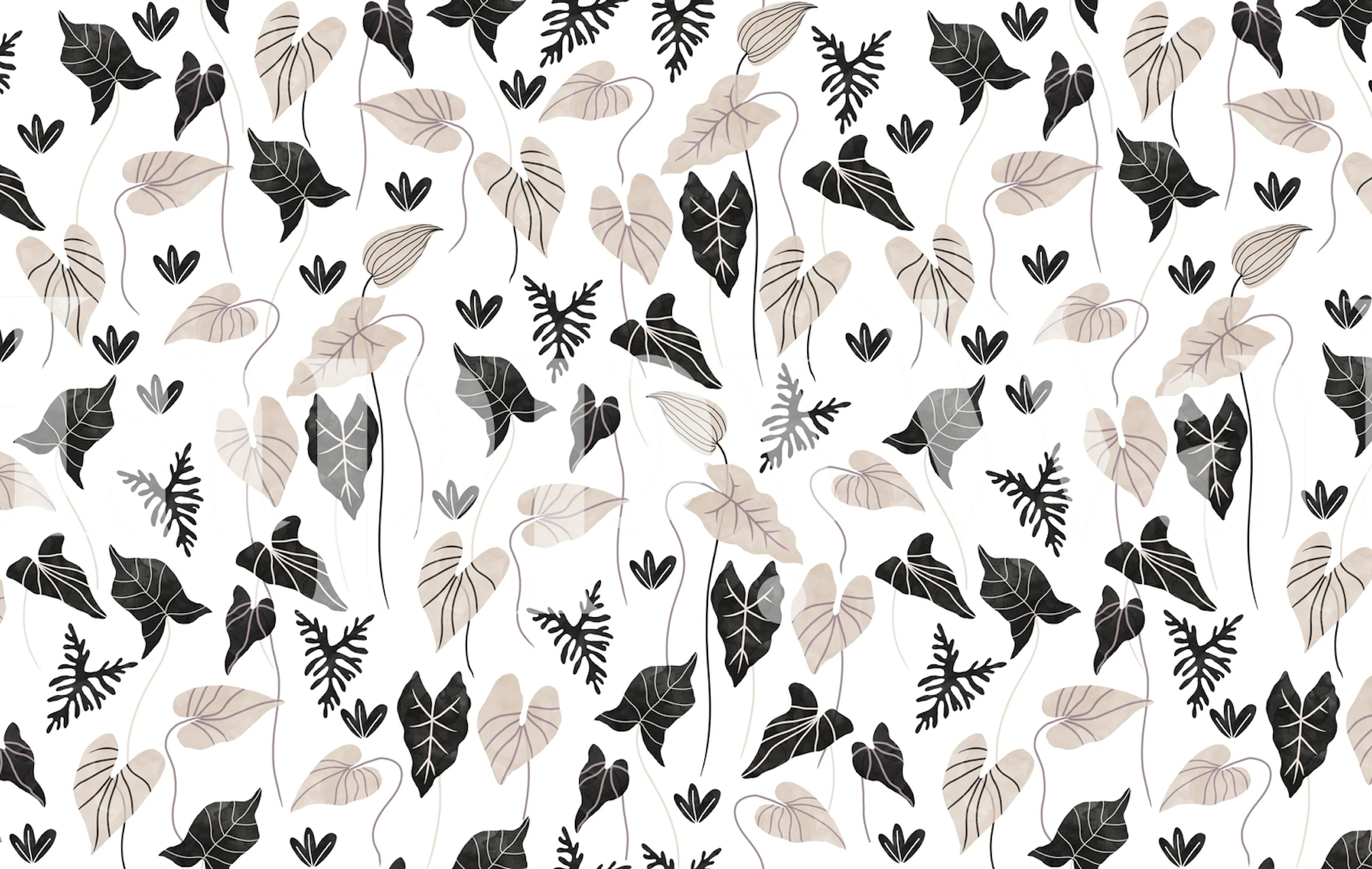 Black and white leaf patterns on a white background wallpaper