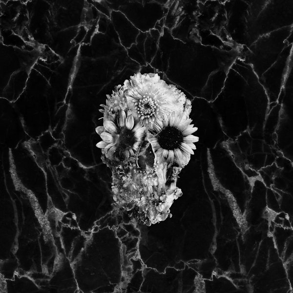 Floral Marble Skull