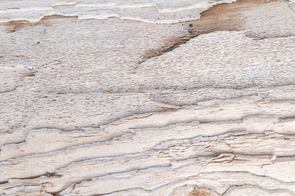 Wood Texture 1