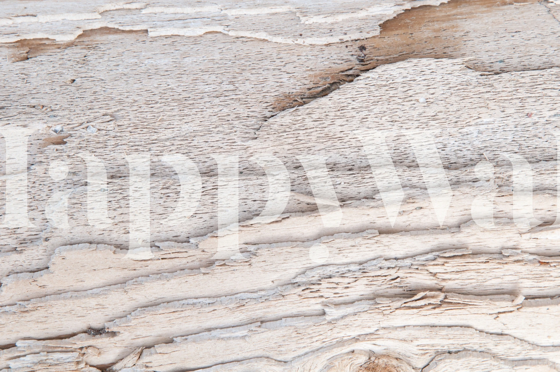 Light wood texture wallpaper with a natural wood grain pattern