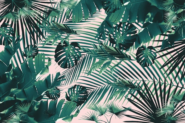 Tropical Jungle Siesta 2a