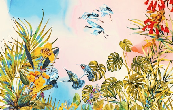 Birds in the paradise