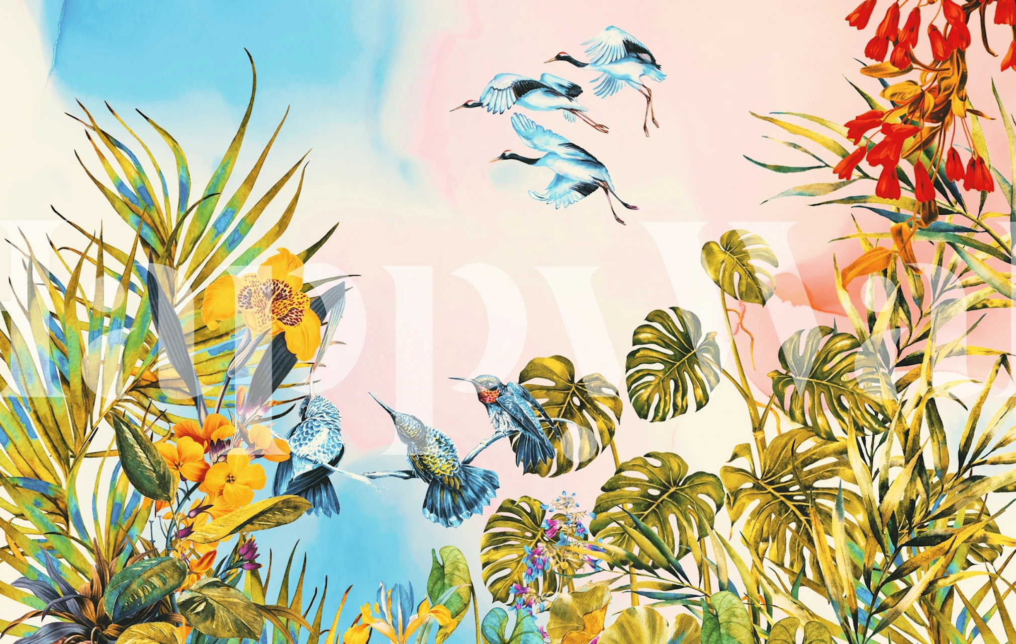 Tropical birds and colorful flowers on blue and pink background wallpaper