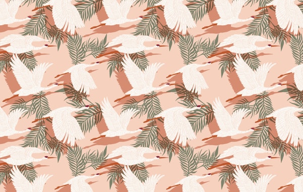 Cranes flying in the sunset  I