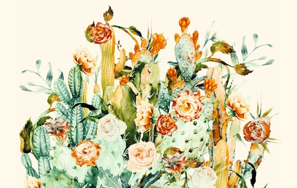 Blooming in the cactus