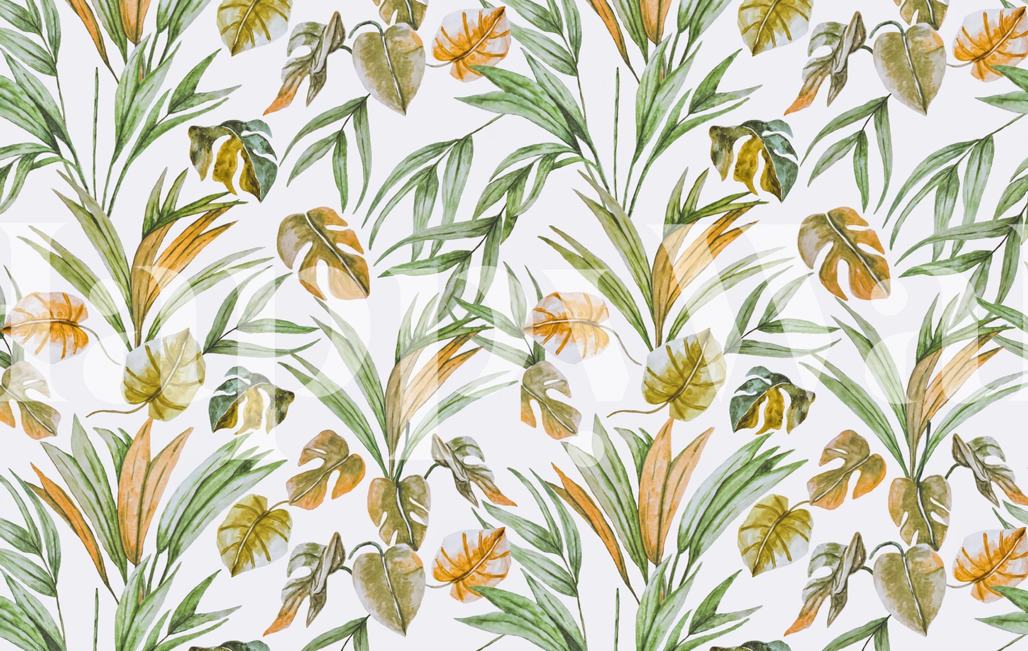 Tropiska botaniska Sweet tropical botany i ett rum