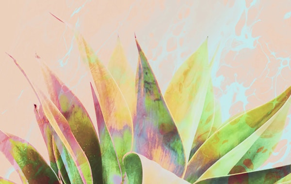 Abstract of cactus on marbled