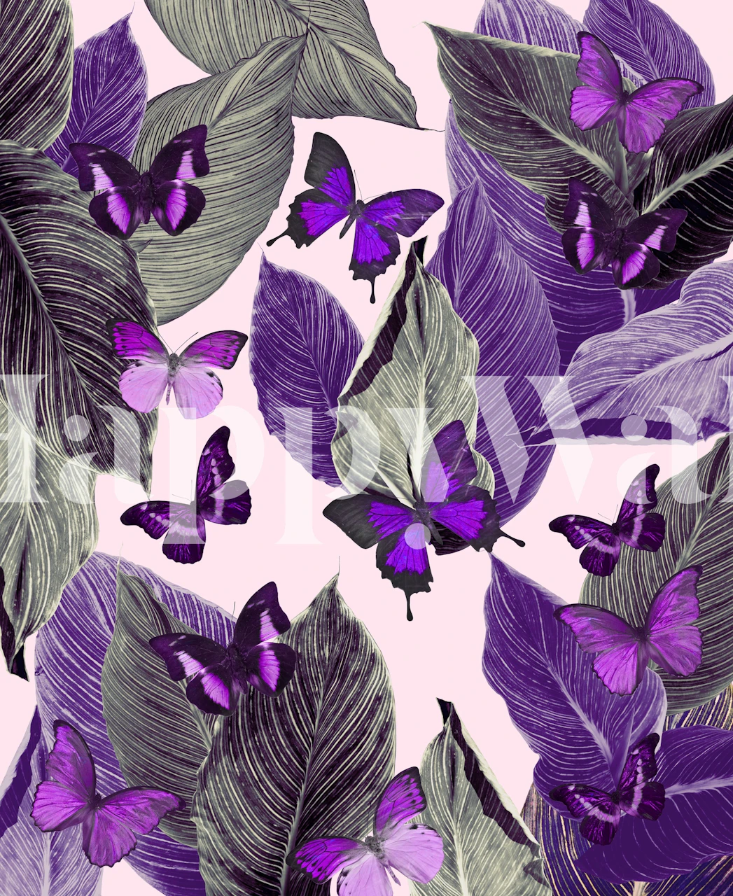 Butterfly Jungle Delight 3 wallpaper in a room