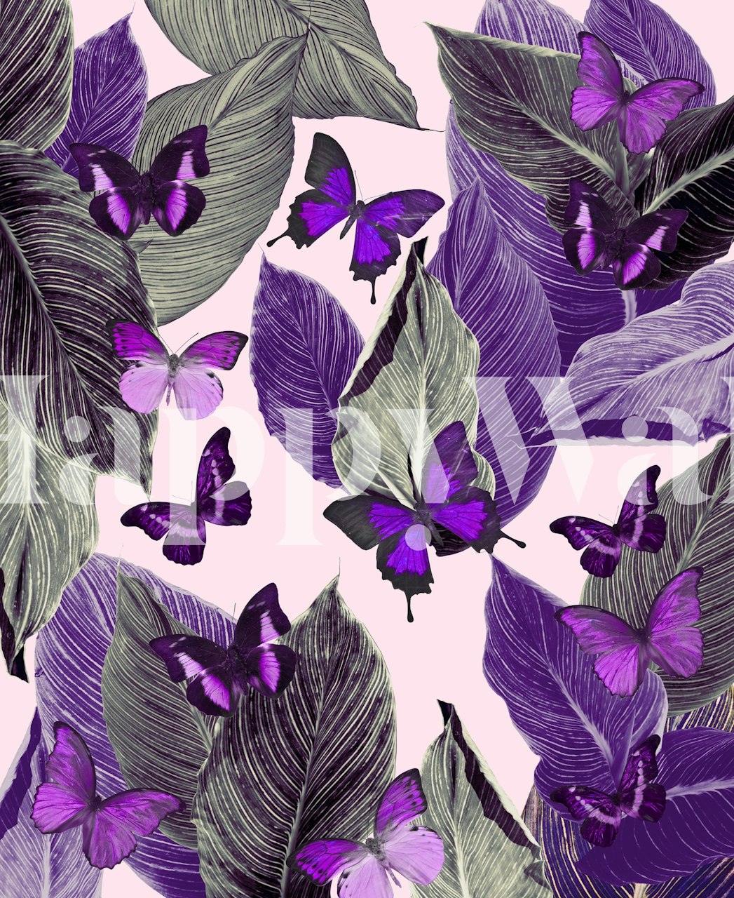 Butterfly Jungle Delight 3 wallpaper in a room