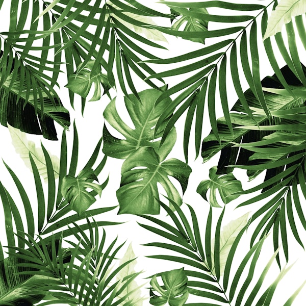 Tropical Jungle Leaves 12a
