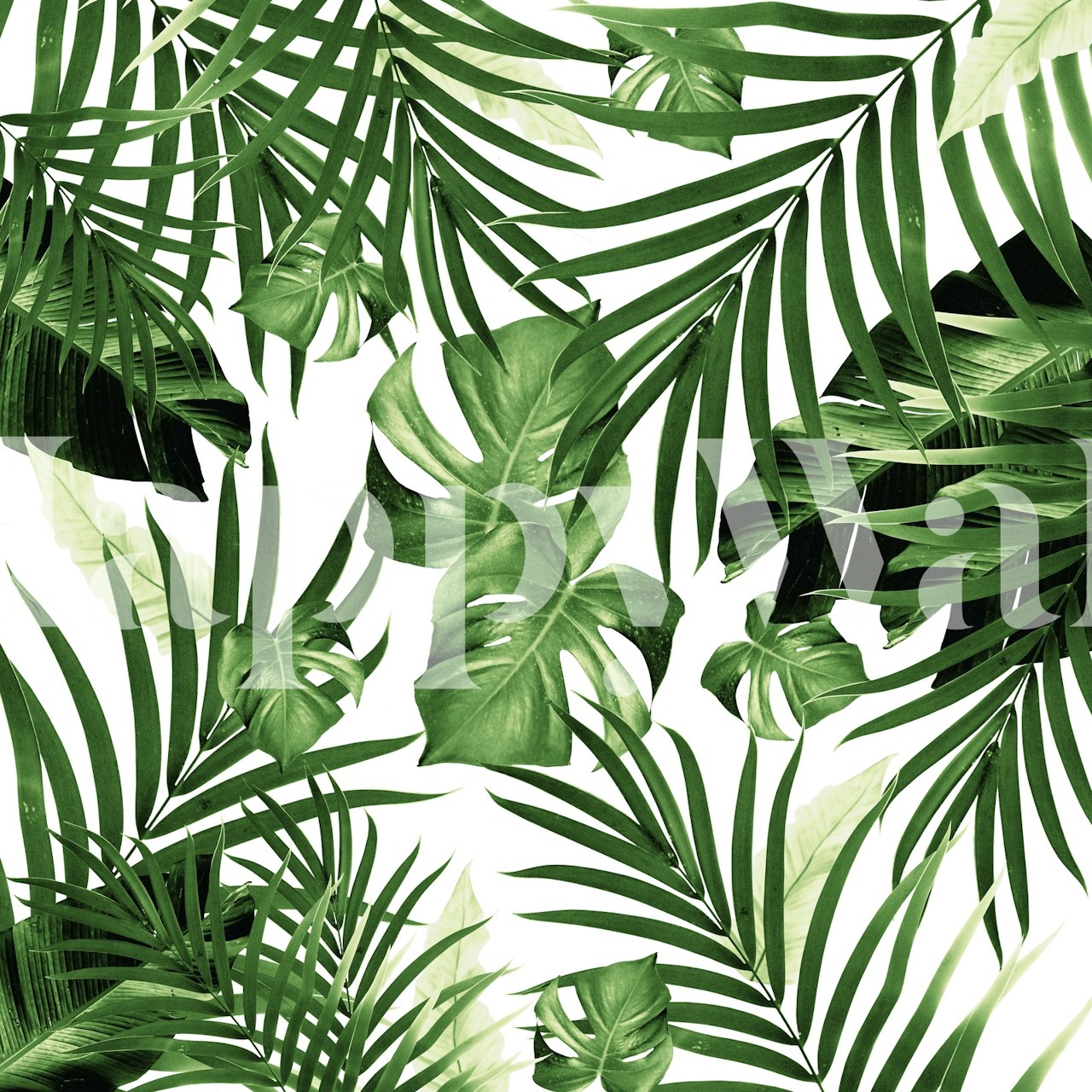 Tropical Jungle Leaves tapeta u sobi