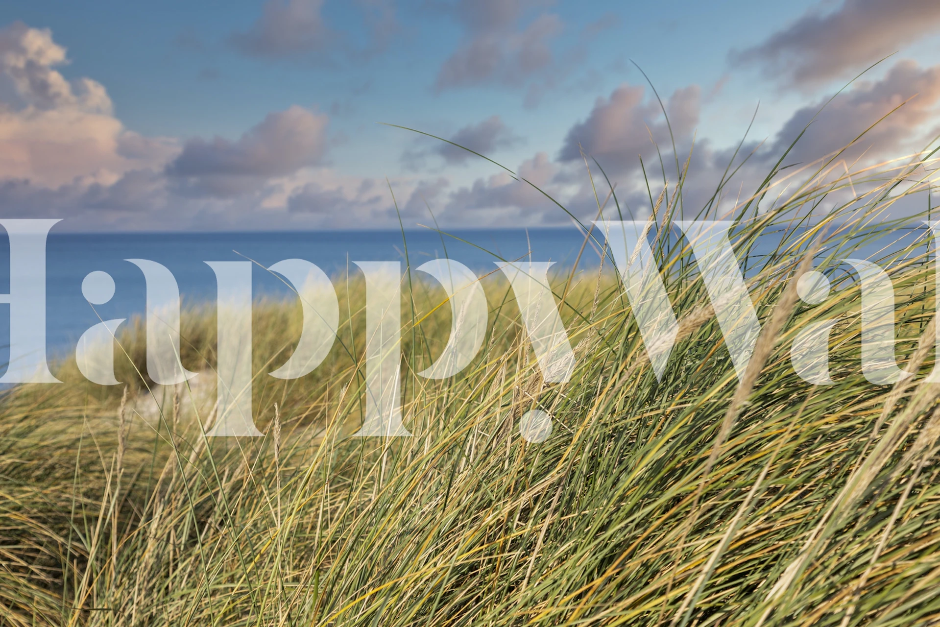 Sea and sand dunes wallpaper in a room