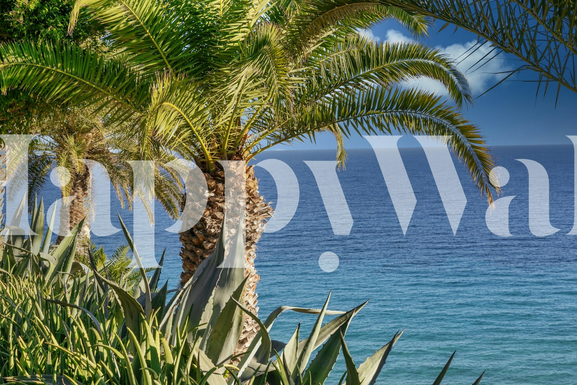 Palm tree garden behang in een kamer