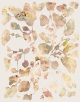 Autumnal Foliage papiers peint